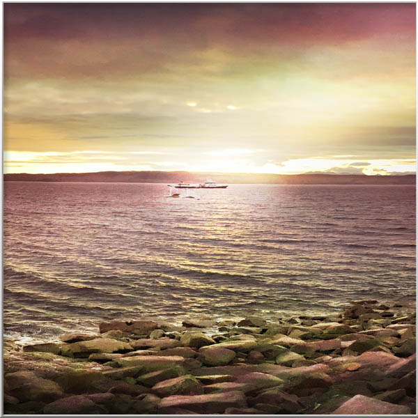 Magical Landscapes-Rien van Osch