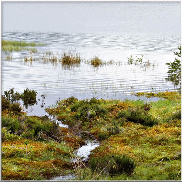 Magical Landscapes-Rien van Osch