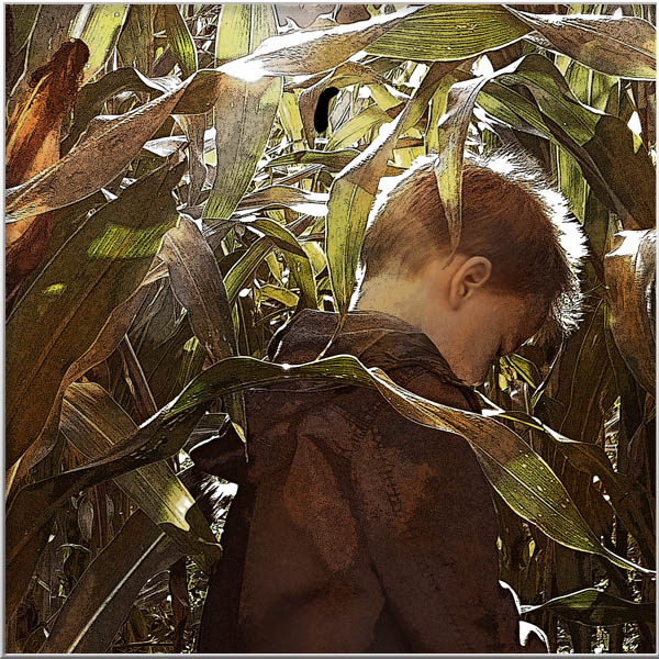Magical Portrais-Animals-Men-Insects-Rien van Osch