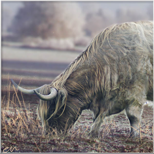 Magical Portrais-Animals-Men-Insects-Rien van Osch
